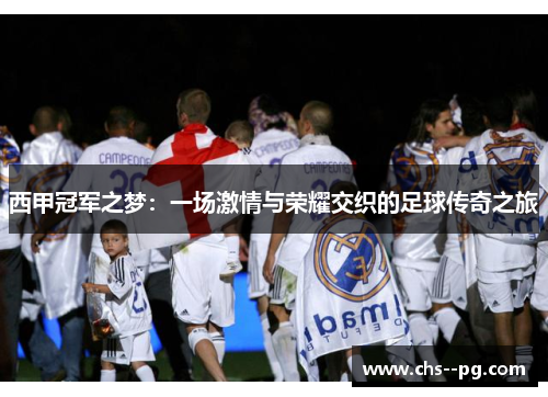 西甲冠军之梦：一场激情与荣耀交织的足球传奇之旅